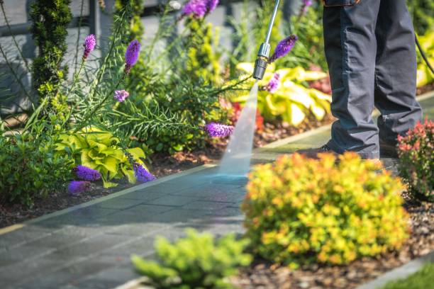 Best Soft Washing for Delicate Surfaces in Mount Union, PA