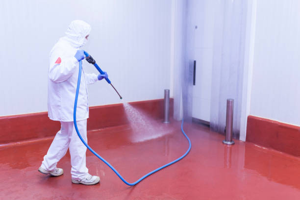 Best Residential Pressure Washing in Mount Union, PA